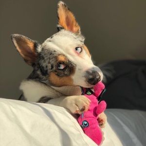 Meet your Posher, Izabella